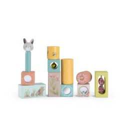 Cubes d'activités - Moulin Roty