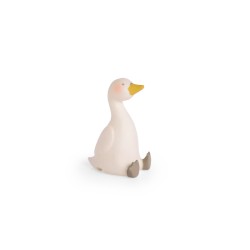 VEILLEUSE CYGNE (USB)...