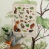 Coffret découverte Animaux du jardin - moulin roty