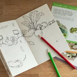 Coffret découverte Animaux du jardin - moulin roty