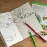 Coffret découverte Animaux du jardin - moulin roty