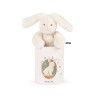 Poupée lapin Louison (en boîte) moulin roty