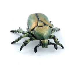 Cétoine doré PAPO