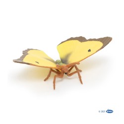 Papillon Souci PAPO