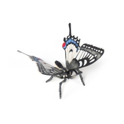 Papillon Machaon PAPO