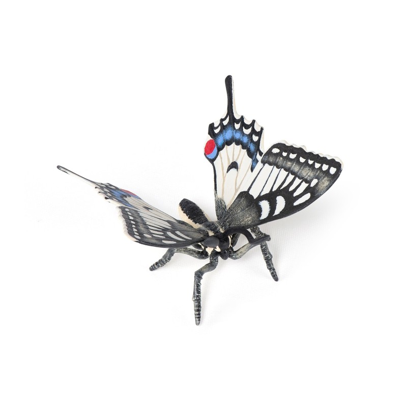 Papillon Machaon PAPO