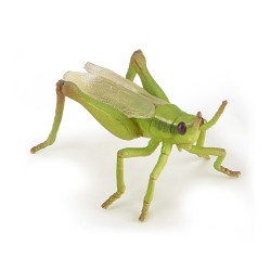Sauterelle PAPO