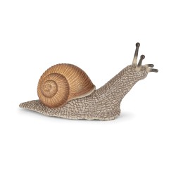 Escargot PAPO