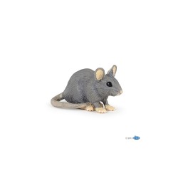 Souris grise PAPO
