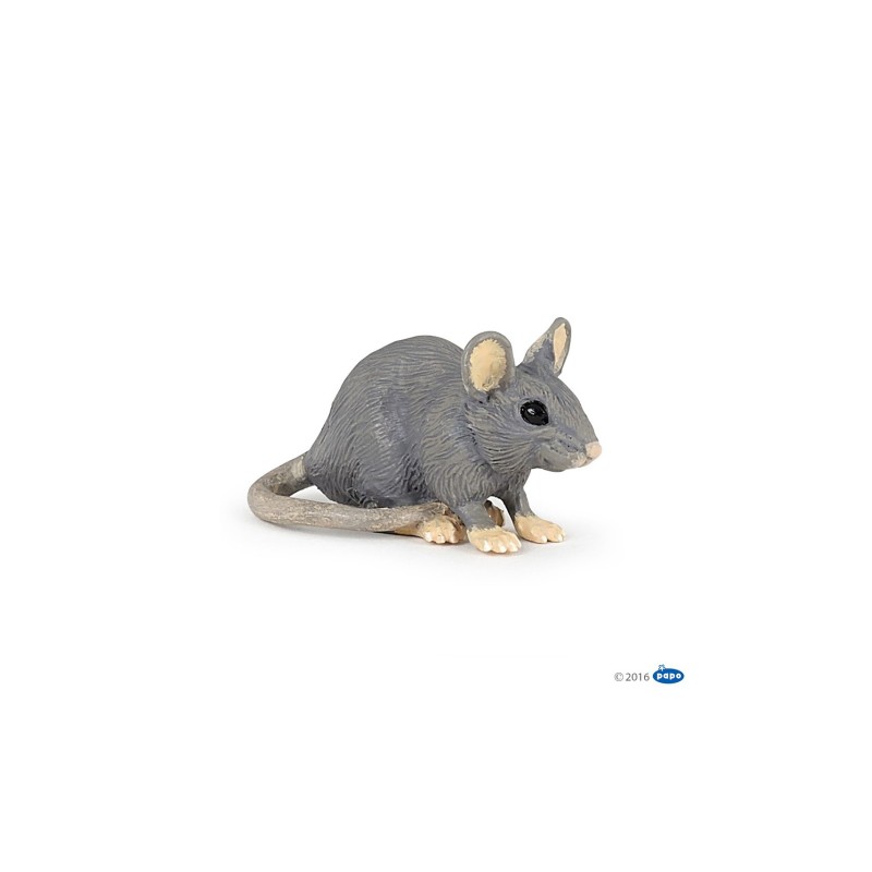 Souris grise PAPO