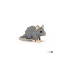 Souris grise PAPO
