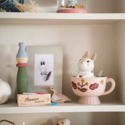 Tirelire lapin - APRES LA PLUIE - moulin roty
